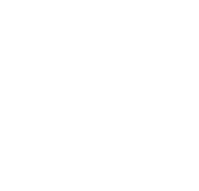 VG Private Wealth